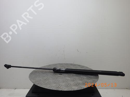 Used Tailgate lift support FORD C-MAX II (DXA/CB7, DXA/CEU) 1.0 EcoBoost (125 hp) 17911683