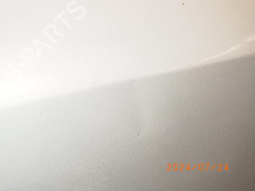 Right front door RENAULT CLIO III (BR0/1, CR0/1) 1.2 16V (BR02, BR0J, BR11, CR02, CR0J, CR11) | BP19066462C3 