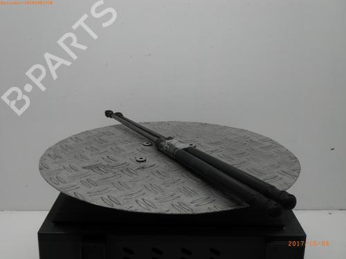 Tailgate lift support SEAT IBIZA III (6L1) 1.4 16V | BP14753880C138 
