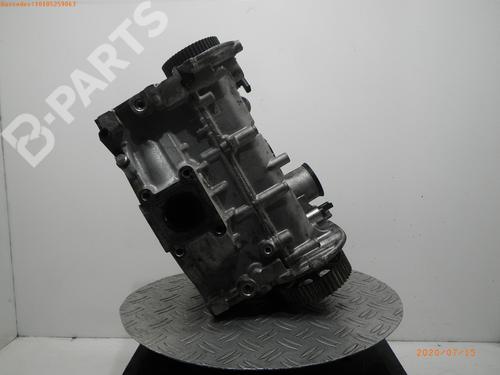 Used Cylinder head VW POLO V (6R1, 6C1) 1.0 (75 hp) 5870219