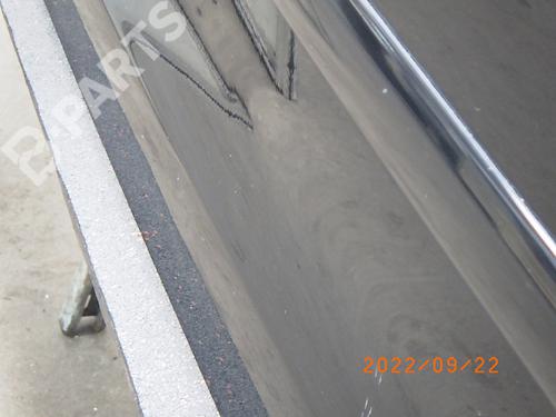 Left front door VW POLO (9N_, 9A_) 1.2 12V | BP10559377C2 