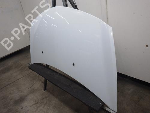 Hood RENAULT CLIO III (BR0/1, CR0/1) 1.2 16V (BR02, BR0J, BR11, CR02, CR0J, CR11) | BP24994955C1 