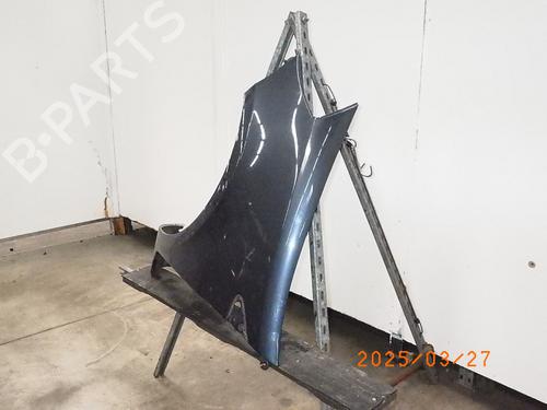 Left front fenders RENAULT CLIO III (BR0/1, CR0/1) 1.2 16V (BR02, BR0J, BR11, CR02, CR0J, CR11) | BP24572505C41 