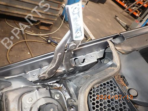 Hinge/Door check strap MERCEDES-BENZ A-CLASS (W169) A 150 (169.031, 169.331) | BP19021373C146 