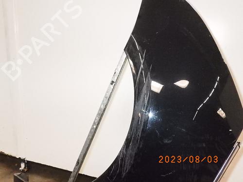 Left front fenders CITROËN C4 Picasso I MPV (UD_) 1.6 THP 155 | BP14457939C41 