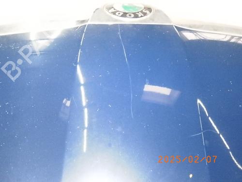 Hood SKODA FABIA II (542) 1.2 | BP23220783C1 
