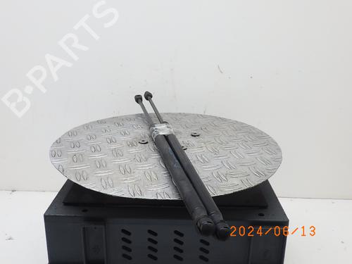 Tailgate lift support OPEL MERIVA A MPV (X03) 1.6 (E75) | BP18309500C138 