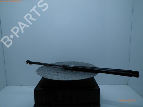 Used Tailgate lift support VW CADDY III MPV (2KB, 2KJ, 2CB, 2CJ) 1.9 TDI (75 hp) 14754704
