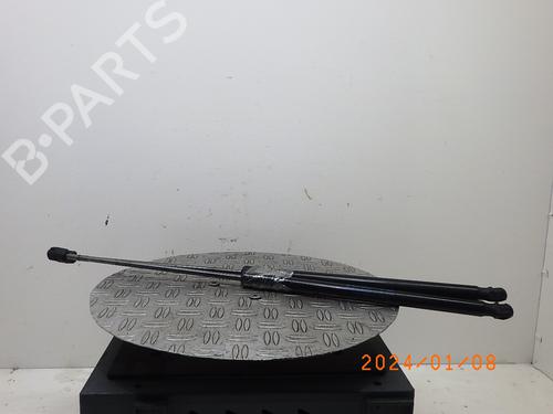Tailgate lift support FORD FOCUS III 1.0 EcoBoost | BP16120957C138 