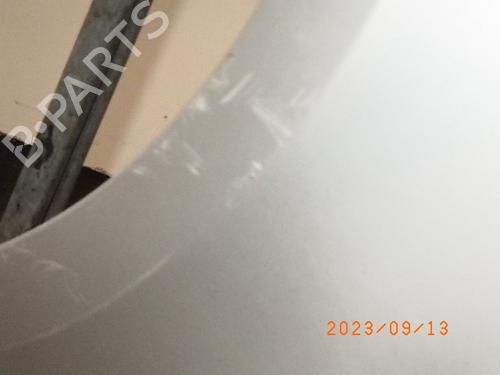 Left front fenders RENAULT CLIO III (BR0/1, CR0/1) 1.2 16V (BR02, BR0J, BR11, CR02, CR0J, CR11) | BP11700101C41 