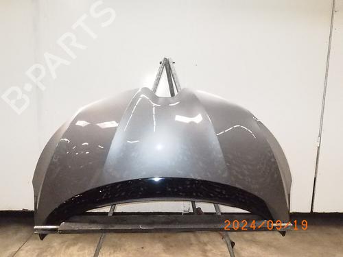 Used Hood Hood RENAULT SCÉNIC IV (J9_) 1.2 TCe 115 (115 hp) 22889655 22889655