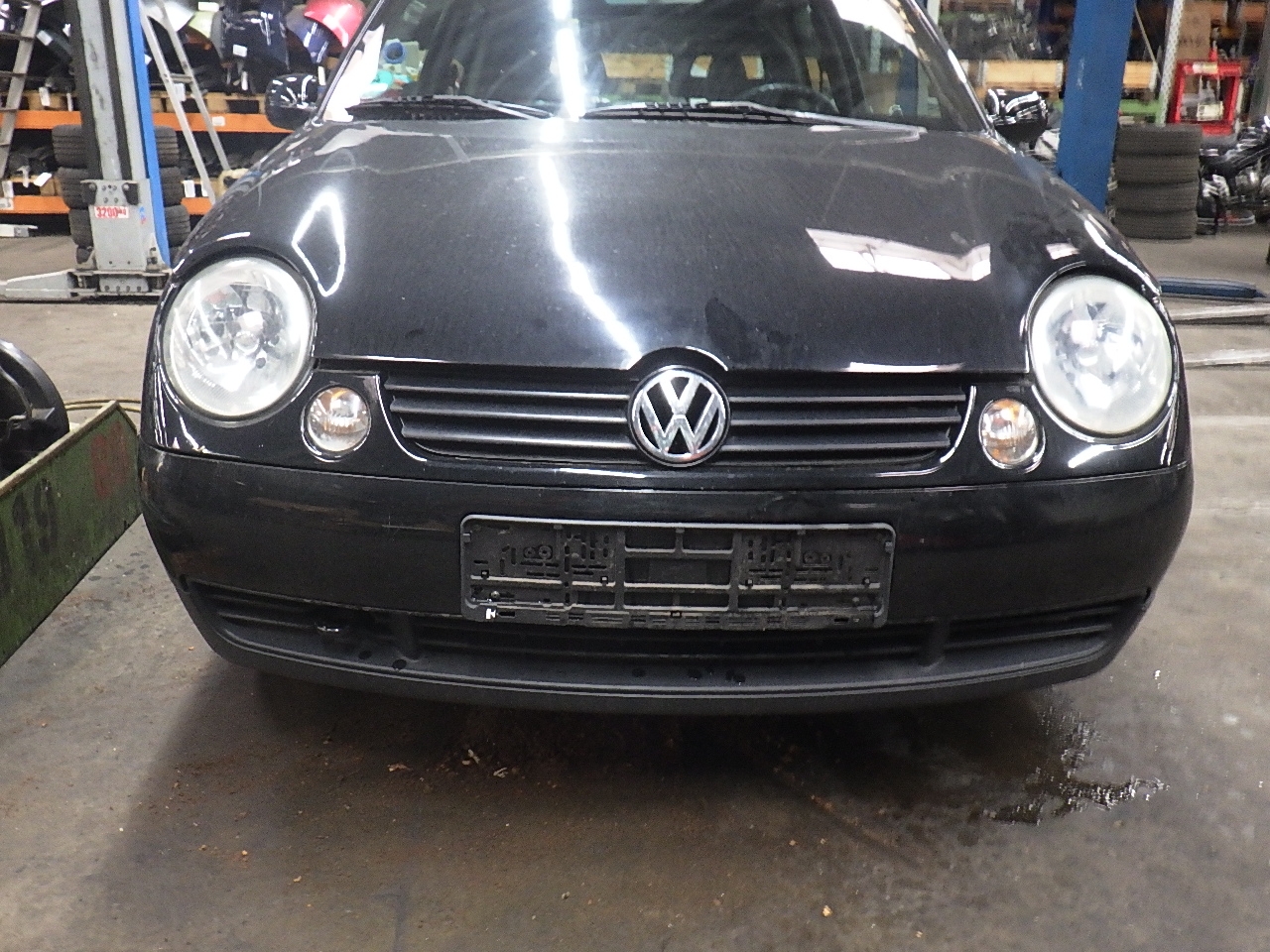 lupo 2001 1.0