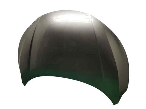 Hood NISSAN JUKE (F16_) 1.0 | BP22613615C1 