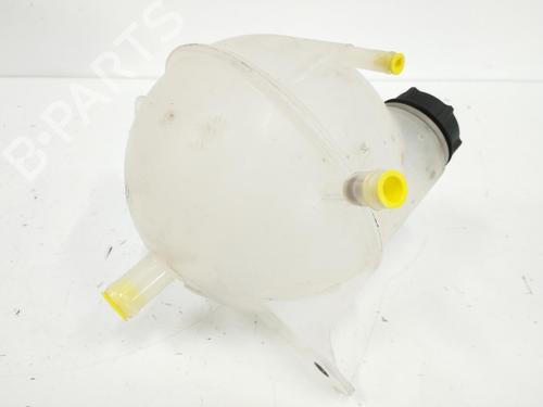 Expansion tank FORD TRANSIT V363 Van (FCD, FDD)  | BP12442253C120 