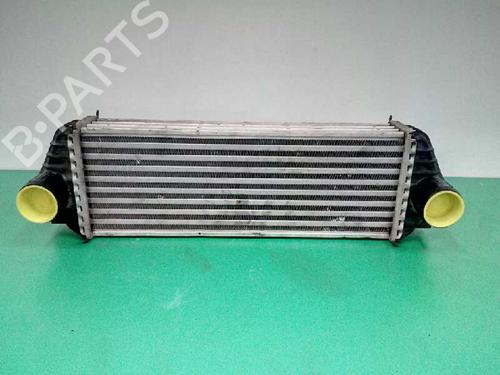 Used Intercooler FORD TOURNEO CONNECT [2002-2013]  4560751