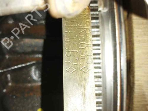 Engine NISSAN QASHQAI / QASHQAI +2 I (J10, NJ10, JJ10E) 2.0 dCi | BP16663191M1 