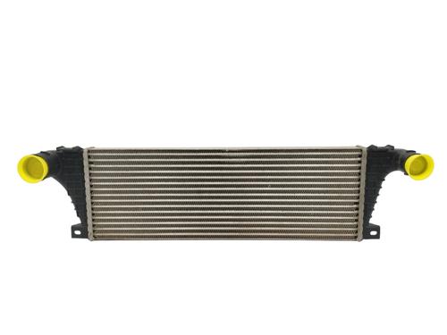 Intercooler SANTANA PS10/ANIBAL [2002-2025]  15559962
