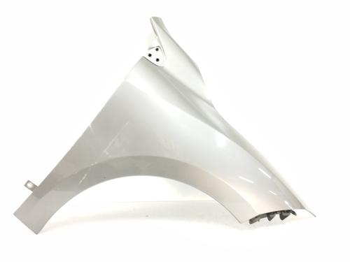 right-front-fenders-renault-megane-iii-hatchback-bz01_-b3_-15-dci-2008-10757129 main image