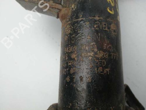 Right front shock absorber NISSAN X-TRAIL I (T30)  | BP6258285M17 