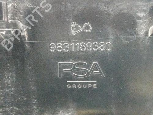 Fuel flap CITROËN C4 III (BA_, BB_, BC_) 1.2 PureTech 130 (BAHNSA, BAHNSB) | BP12442433C131 
