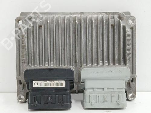 Calculateur moteur (ecu) CHEVROLET AVEO / KALOS Hatchback (T250, T255) 1.4 (101 hp) 31665613