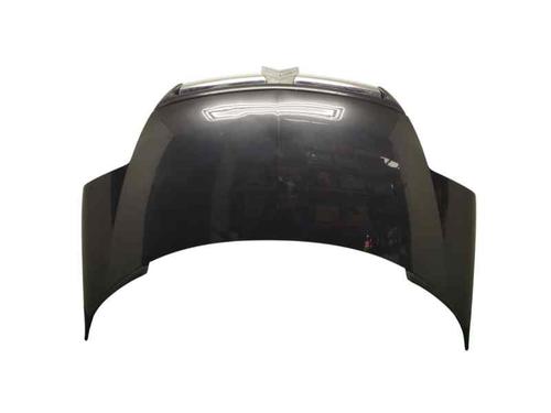 Used Hood CITROËN C8 (EA_, EB_) 2.0 HDi 135 (136 hp) 25005653