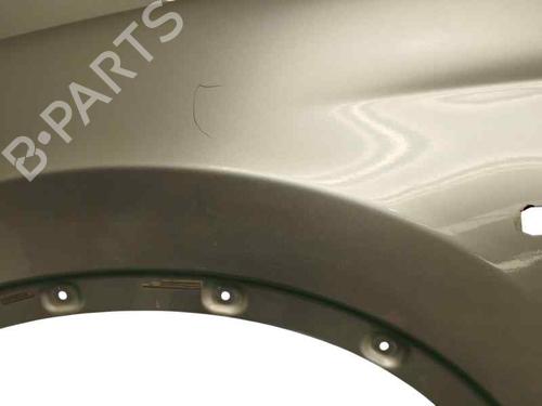 Left front fenders NISSAN QASHQAI I (J10, NJ10) 2.0 dCi | BP25739825C41