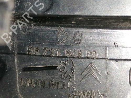 Left taillight CITROËN C4 Picasso I MPV (UD_)  | BP10102874C34 