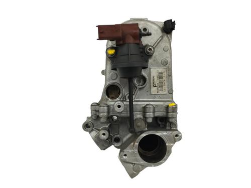 Used Egr FIAT 500L (351_, 352_) 1.3 D Multijet (199LXY1A, 199LXY11) (84 hp) 15676909