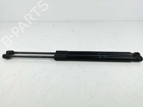 Tailgate lift support OPEL ZAFIRA TOURER C (P12) 1.6 CDTI (75) 315005777 | 39040587