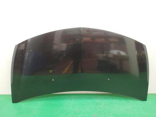 Used Hood RENAULT CLIO III (BR0/1, CR0/1) 1.2 16V (BR02, BR0J, BR11, CR02, CR0J, CR11) (75 hp) 17773459