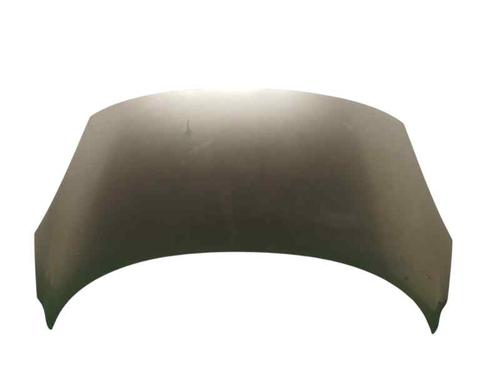 Used Hood RENAULT SCÉNIC III (JZ0/1_) 1.5 dCi (106 hp) 23961113
