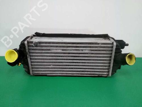 Used Intercooler KIA CARENS IV 1.7 CRDi (116 hp) 4884267