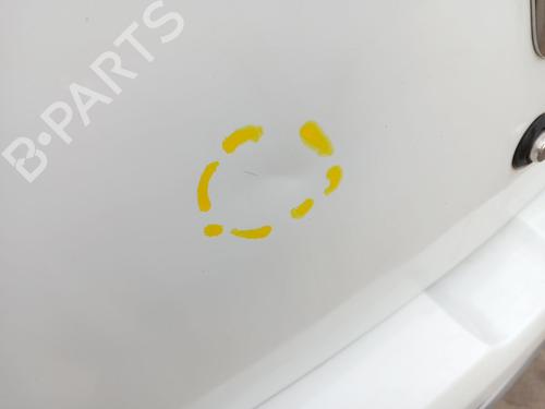 Tailgate DACIA SANDERO II 1.5 dCi | BP32138403C6 