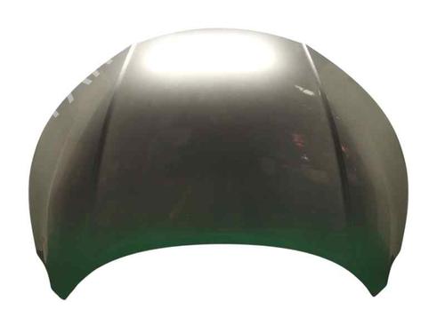 hood-nissan-juke-f16_-2019-22613615 main image