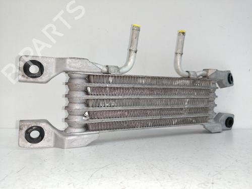 Used Oil radiator CHEVROLET CAPTIVA (C100, C140) [2006-2026]  14152612