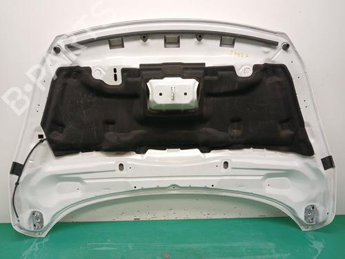 Hood FORD KUGA II (DM2) 2.0 TDCi | BP32365777C1 