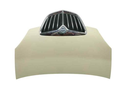 Used Hood LANCIA MUSA (350_) 1.3 D Multijet (350.AXG11, 350.AXG1A) (90 hp) 27460746