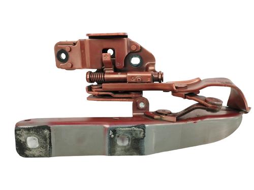 Hinge/Door check strap INFINITI Q50  | BP17537334C146 