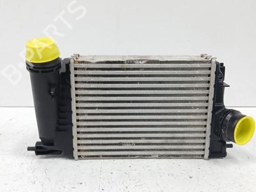 Ladeluftkühler für NISSAN QASHQAI III (J12) 1.3 DIG-T All-wheel Drive (158 hp) 29827184