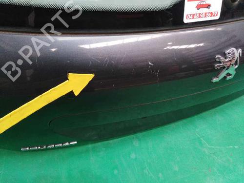 Tailgate PEUGEOT 207 (WA_, WC_)  | BP9219353C6 