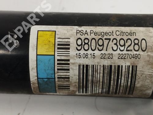 Left rear shock absorber CITROËN C4 CACTUS  | BP11851472M18 