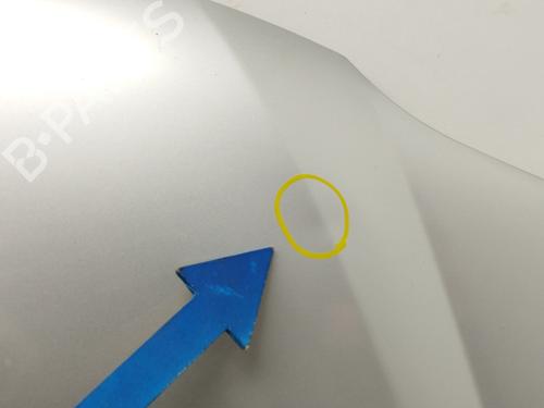 Motorhjelm DACIA LOGAN (LS_) 1.5 dCi (LS0K) | BP13649022C1