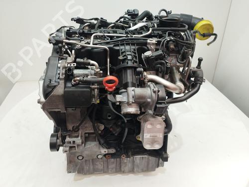Used Engine Engine VW GOLF VI (5K1) 1.6 TDI (105 hp) 36296839 36296839