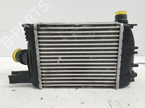Intercooler DACIA DUSTER (HS_) 1.5 dCi (109 hp) 28419090