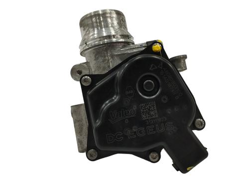 Throttle body RENAULT EXPRESS Box Body/MPV 1.5 Blue dCi 75 (F6AA) | BP16763178M82 