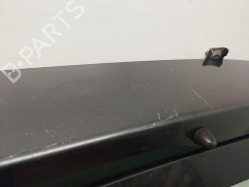 Tailgate DACIA SANDERO 1.4 (BS0C, BS0A, BS0G, BS1F, BS0E) | BP28839746C6 