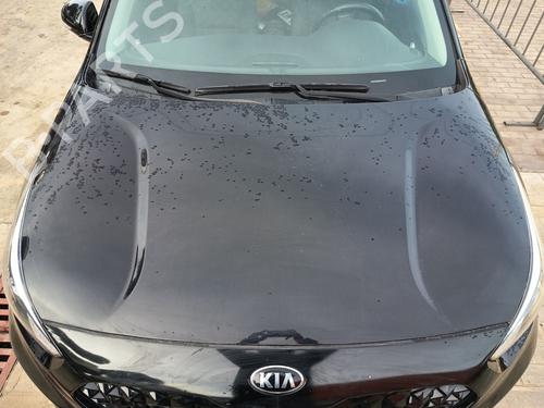 Capot KIA NIRO I (DE) 1.6 GDI Hybrid (105 hp) 31696348