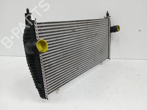 Intercooler CITROËN C5 III (RD_) 2.7 HDi (RDUHZJ) | BP29712351M30 