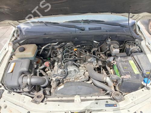 Catalyst SSANGYONG ACTYON I  | BP19636262M10 